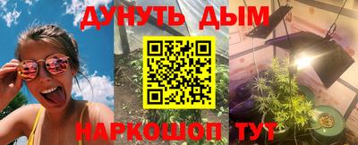 индика Нягань