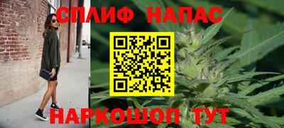 индика Нягань