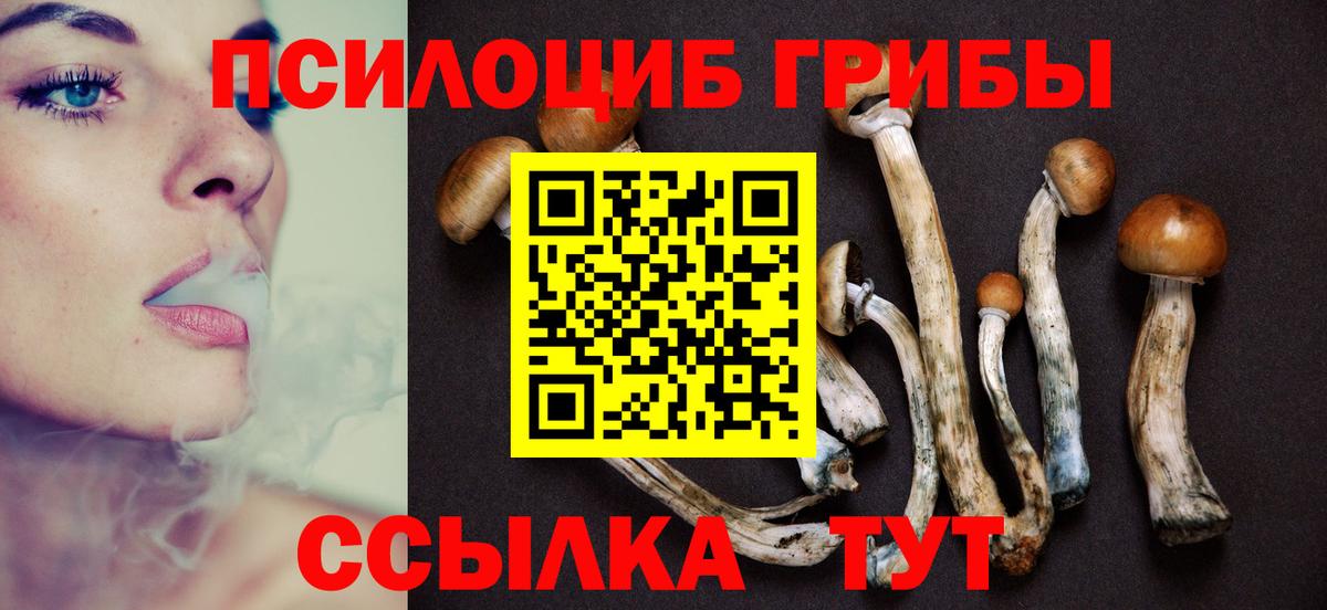 Псилоцибиновые грибы мицелий Родники