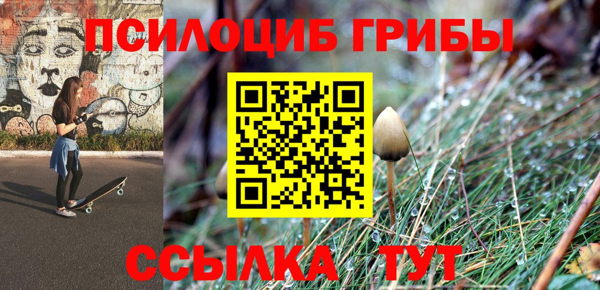 Родники  Псилоцибиновые грибы прущие грибы  Вход с VPN 